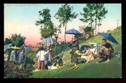 German Offices - Postcard
