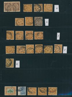 Shanghai Local Post in specialized collection on a page