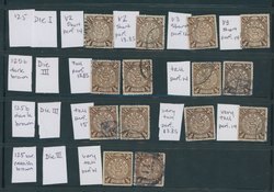 110 CSS 125, 1898 Watermarked Chinese Imperial Post 1/2c varieties (1 unused, 13 used)