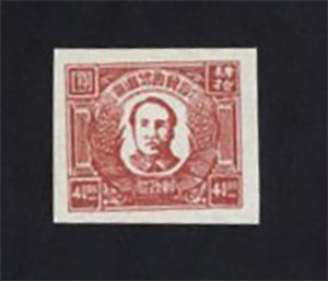 North China Yang NC234