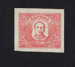 North China Yang NC236