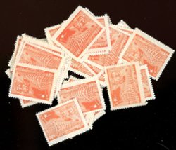 5L77, 50+ copies, NH and H