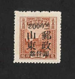 East China Yang ECP 31