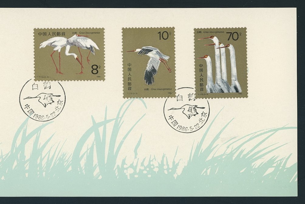 2033-35 in a Presentation Folder