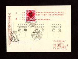 1993 June 20 Hubei Huangshi cover with Postal Surcharge Label (2 images)