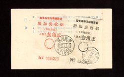 1993 Feb. 1 Sichuan Yan Ting cover with Postal Surcharge Labels (2 images)