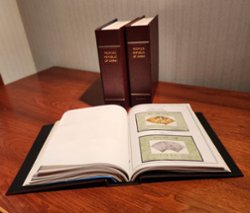 1,553 Non-Postal souvenir sheet collection (see list) in eight (8) Minkus 2 ring binders, beautifully mounted on the pages in black Scott mounts (2 images)