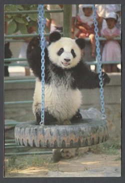 Mailed picture postcard (2 images)