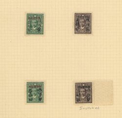 Sinkiang 194-195 and varieties, CSS SK271-72 and Sk 271a and Sk 272a with surcharge inverted, on native paper with lines, Wm. E. Jones collection