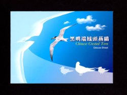 Specimen 2 May 15, 2002