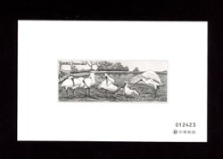 Specimen 1 December 2009