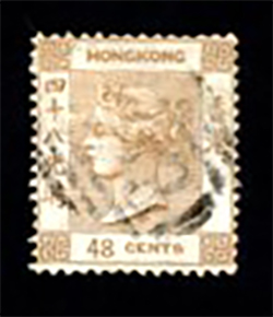 22 Yang 31