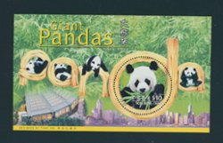 843 Yang S89M April 25, 1999 Giant Pandas