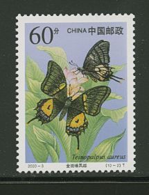 3006b butterfly