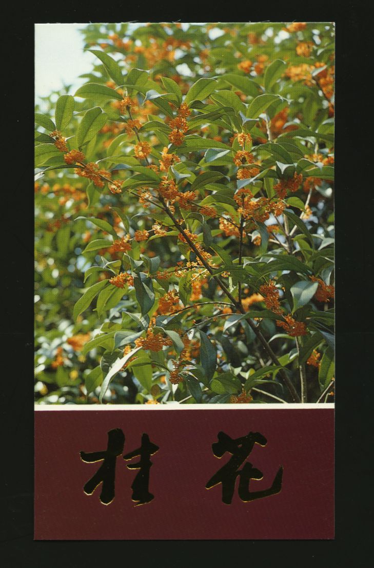 2563-66 PRC 1995-6 in Presentation Folder (2 images)