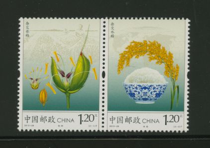4163 PRC 2013-29 pair