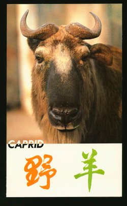 2322-25 PRC T161 in First Day Presentation Folder (2 images)