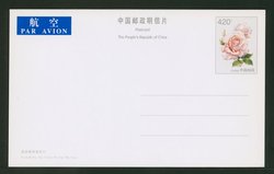 PP13 1999 Chinese Rose - International Postage Stamped Postcard