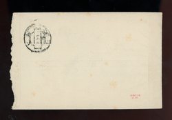 1001 on cover (2 images)