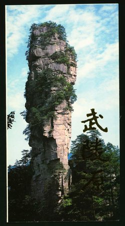 2513-16 and 2517 souvenir sheet PRC 1994-12 in Presentation Folder (2 images)
