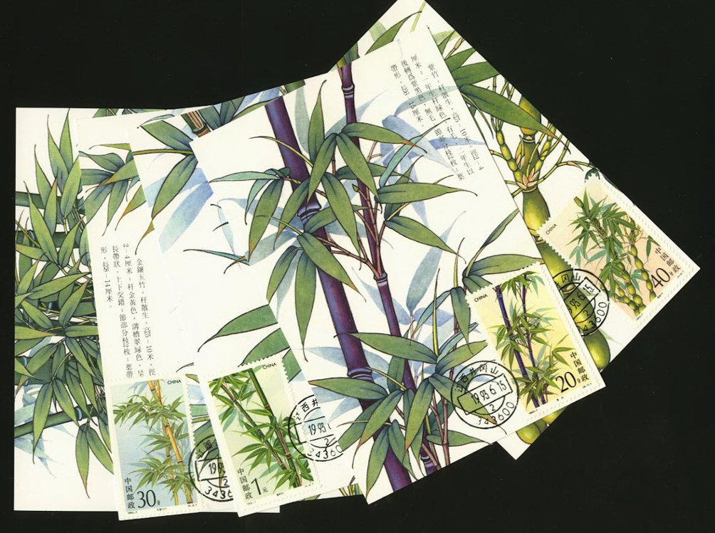 2444-47 PRC 1993-7 complete set of four Maxicards and one additional postcard