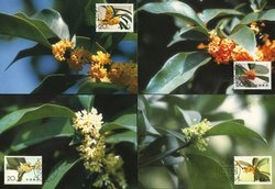 2563-68 PRC 1995-6 on complete set of four Flower Maxicards