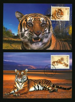 3381-82 PRC 2004-19 complete set on two Tiger Maxicards