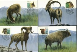 2322-25 PRC T161 1991 complete set of four Maxicards