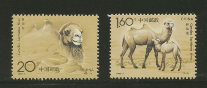 2433-34 PRC 1993-3