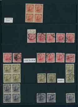 NEP - from 12-25, Study of Type II second set on Vario pages, shipped on pages (4 images)