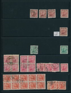 NEP - from 12-25, Study of Type II second set on Vario pages, shipped on pages (4 images)