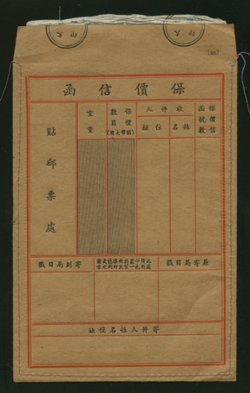 Formula Domestic Insured Mail Envelope FEINS-2 (2 images)