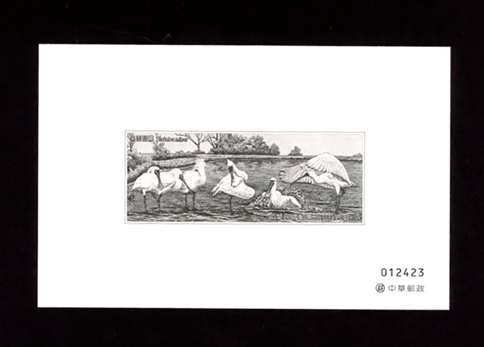 Specimen 1 December 2009