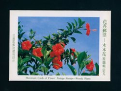 3108-10 March 12, 1997, complete set of Maximum Cards in a folder